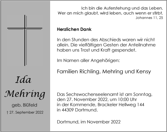 Traueranzeige von Ale Mehring von Tageszeitung