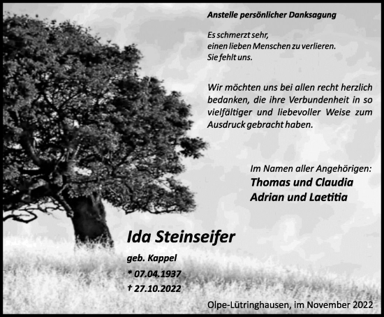 Traueranzeige von Ida Steinseifer von Tageszeitung