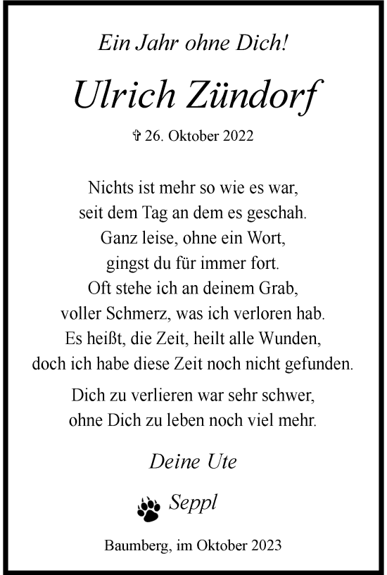 Traueranzeige von Ulrich Zündorf von Tageszeitung