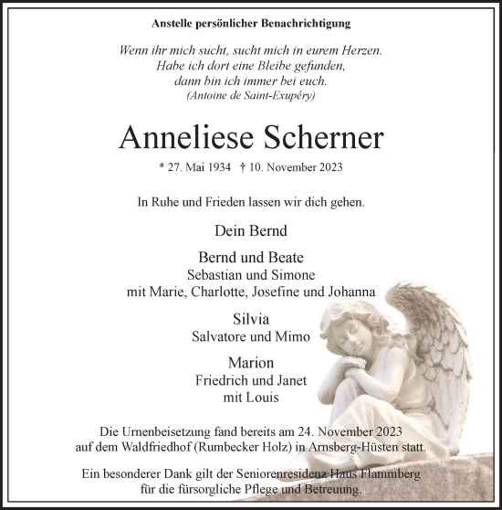 Traueranzeige von Anneliese Scherner von Tageszeitung