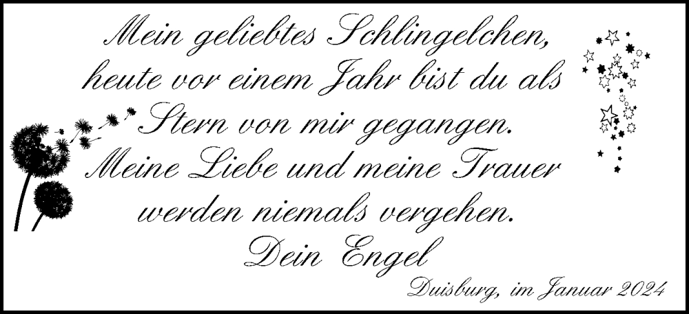  Traueranzeige für Schlingelchen  vom 27.01.2024 aus Tageszeitung