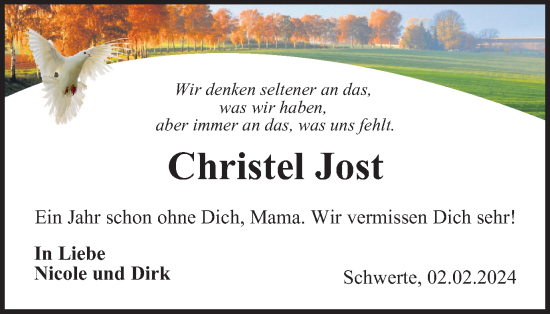 Traueranzeige von Christel Jost von Tageszeitung