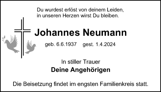 Traueranzeige von Johannes Neumann von Tageszeitung