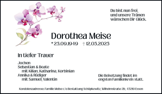 Traueranzeige von Dorothea Meise von Tageszeitung