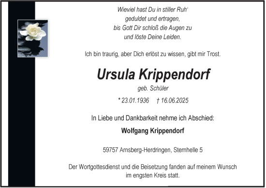 Traueranzeige von Ursula Krippendorf von Tageszeitung