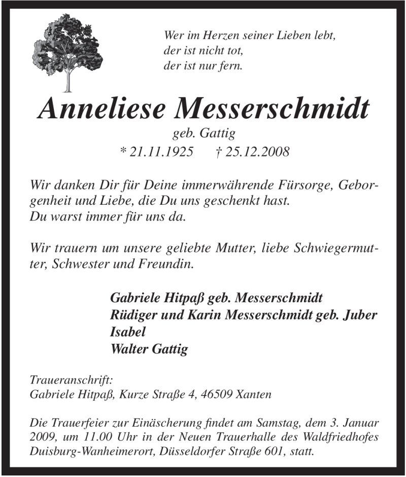  Traueranzeige für Anneliese Messerschmidt vom 31.12.2008 aus Tageszeitung