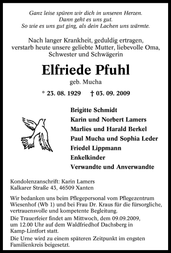 Traueranzeige von Elfriede Pfuhl von Tageszeitung