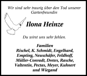 Traueranzeige von Ilona Heinze von Tageszeitung