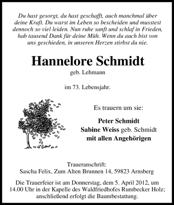 Traueranzeige von Hannelore Schmidt von Tageszeitung