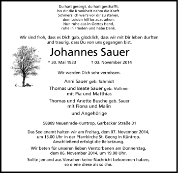 Traueranzeige von Johannes Sauer von Tageszeitung