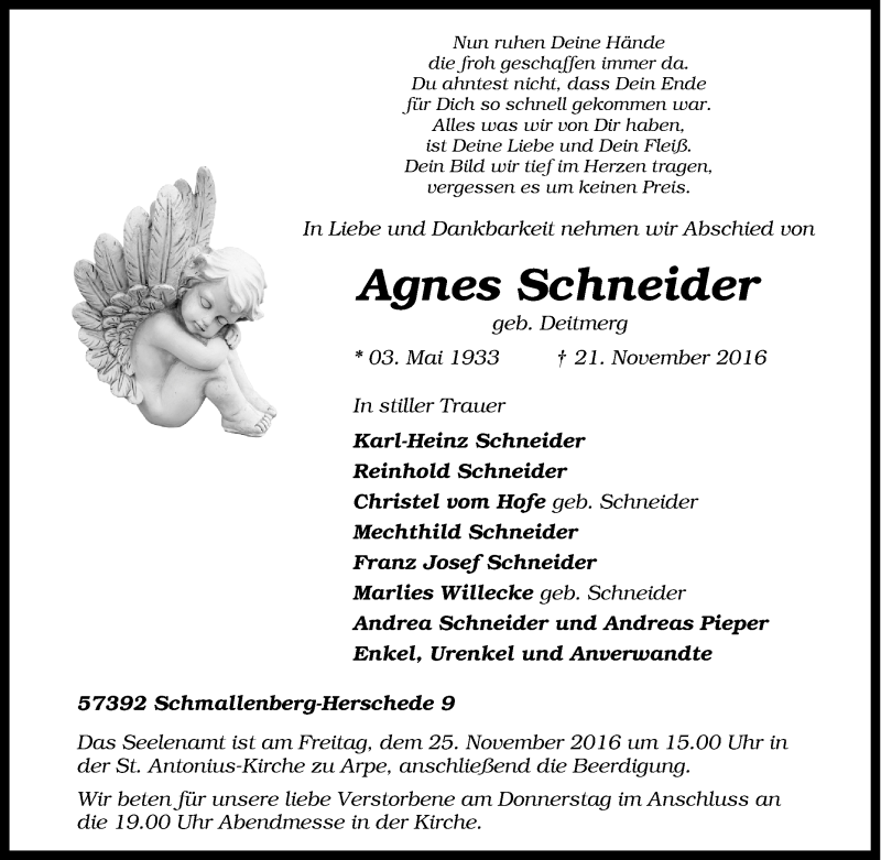  Traueranzeige für Agnes Schneider vom 23.11.2016 aus Tageszeitung