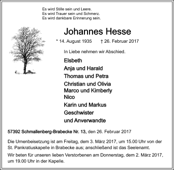 Traueranzeige von Johannes Hesse von Tageszeitung